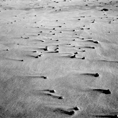 620 0/1	Saugatuck - beach	10/1957	Pebbles on beach
