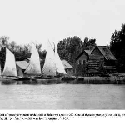 Fishtown print.jpg 1.3MB: A fleet of mackinaw boats under sail at Fishtown about 1900. One of these is probably the BIRD, owned by the Shriver family, which was lost in August of 1905.