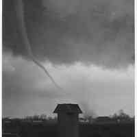          tornado1956.png 403KB
   