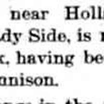 cr1892061701HollandResort-ShadySide-Jennison.jpg: Shady side, or Jennison Park, purchased by Luman Jennison