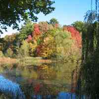          Saugatuck's Mildred A. Peterson Nature Preserve, autumn 2005
   