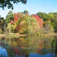          Saugatuck's Mildred A. Peterson Nature Preserve, autumn 2005
   