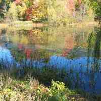          Saugatuck's Mildred A. Peterson Nature Preserve, autumn 2005
   