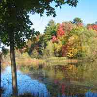          Saugatuck's Mildred A. Peterson Nature Preserve, autumn 2005
   