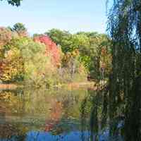          Saugatuck's Mildred A. Peterson Nature Preserve, autumn 2005
   