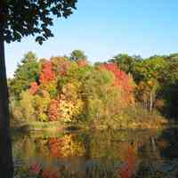          Saugatuck's Mildred A. Peterson Nature Preserve, autumn 2005
   