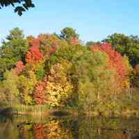          Saugatuck's Mildred A. Peterson Nature Preserve, autumn 2005
   