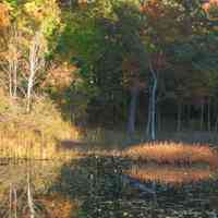          Saugatuck's Mildred A. Peterson Nature Preserve, autumn 2005
   
