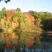          Saugatuck's Mildred A. Peterson Nature Preserve, autumn 2005
   
