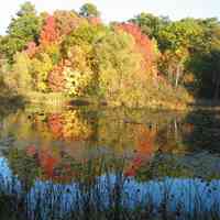          Saugatuck's Mildred A. Peterson Nature Preserve, autumn 2005
   