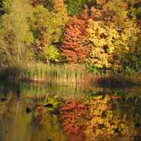          Saugatuck's Mildred A. Peterson Nature Preserve, autumn 2005
   