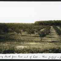          MRT_LookingNFrmEEndofHill-PlumOrchard-1924.JPG 518KB
   