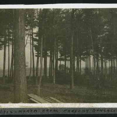 MRT-Fall1912-NorthFromHouseInGroveSite.JPG 175KB