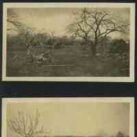          MRT-Farm-1.JPG 1.1MB
   