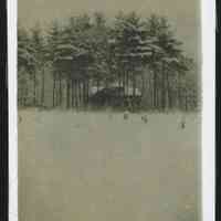          MRT-HouseInGrove-Winter1911-12-FromWest.JPG 151KB
   