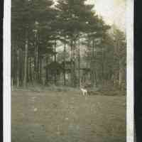          MRT-Sprin1913-HouseInGrove.JPG 152KB
   