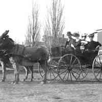 Roger Reed Carriage of Ladies