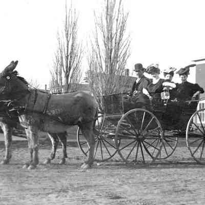 Roger Reed Carriage of Ladies