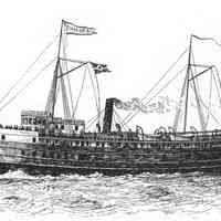 Chicora newspaper clippings