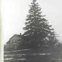          Ens-EnsfieldFarmouseTree.JPG
   