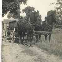          Ens-HorseWagon2.JPG
   
