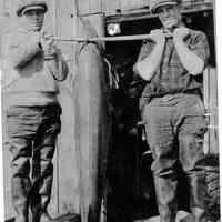          89-1-224_A_Sewers_Bros..jpg 788KB; Sewers Bros Sturgeon Weight 156 pounds  Twins Frank and Rube Sewers
   