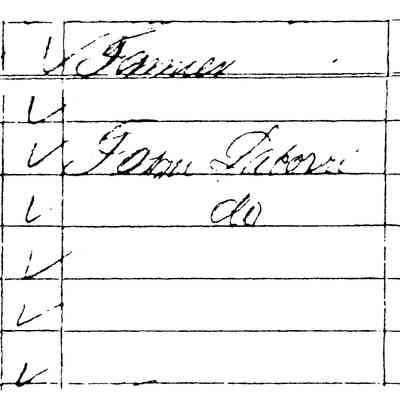 94KB: On the 1860 census in Fillmore Township, Hendrik Kleinheksel is shown as a 51-year-old farmer, with wife, Deikje, 53, and sons, Hendrik, 25; John, 22; John H. 17; Gerrit J., 14; and William, 12.