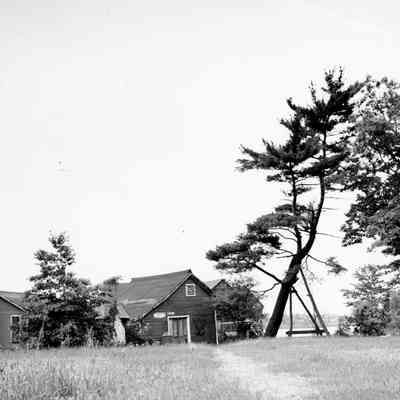 The same buildings as depicted in the painting.: Digital file on Jack Sheridan Drive 2021.72.02  filename: 15_Propped_up_pine_-_Oxbow.jpg 725KB