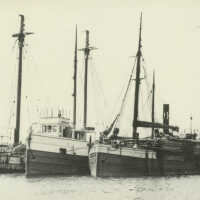          same image at https://www.nemoha.org/2903102/image/2226787; from the Saugatuck Maritime Museum on the Alpena County George N. Fletcher Public Library 10.5 MB
   