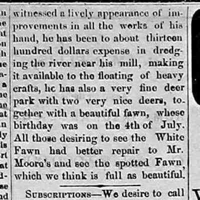 cr1868071603MooresAddition-2.jpg: Deer park