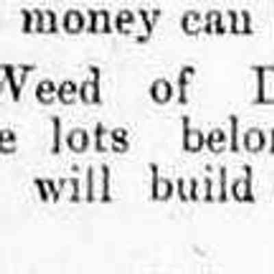 cr1879110701WmWeedBuysLotsWillBuild.jpg: William Weed of Douglas bought T. Hauer lots