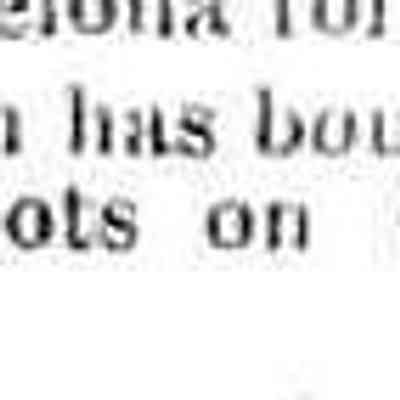 cr1888113001MillenBuysHendricksLots-Douglas.jpg: Charles Millen bought two lots of Chestnut Street, Douglas from M. Hendricks