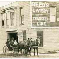 Reed
