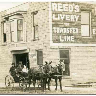 Reed's Livery