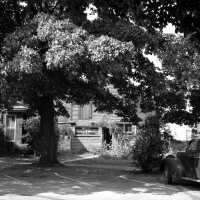 Commercial Record office 1944 Hoffman