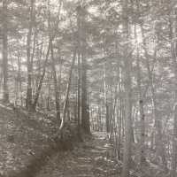 Saugatuck trails