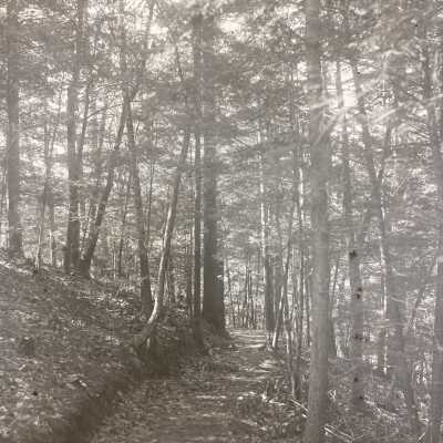 Saugatuck trails