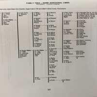          Ellen Canfield Upton Family Tree - Additional Limbs
   