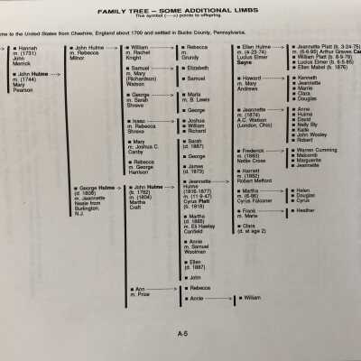 Ellen Canfield Upton Family Tree - Additional Limbs