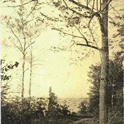 Lakeshore Drive early 1900s - digital images