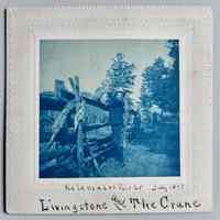 Livingstone and the Crane