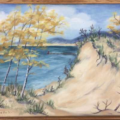 Saugatuck Dunes