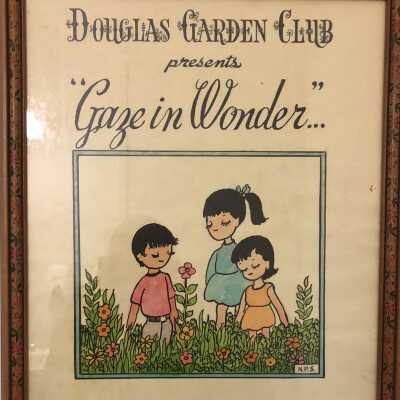 Gaze in Wonder