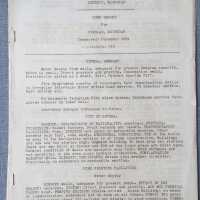          Water supply report November 1931 report by O.M. Henn of the Michigan Inspections Bureau, Detroit Michigan,; Notes about wells, fire departments, fire alarms,anti-wood shingle ordinance, general observations about the town (noted in transcript) and recommendations.
   