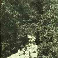          ClimbingBaldhead.jpg 1.8MB; Climbing up Bald Head, 