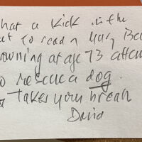          guest feedback
   