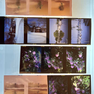 from 2022.44.08 B Blue Binder