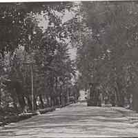          Road work between bridges ca 1930.jpg 1.7MB
   