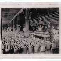          FruitHistorya.jpg 343KB; Women fruit packers and stacks of fruit baskets
   