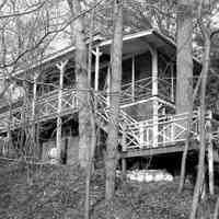          106Park.jpg; Steve and Greg's Tree Tops at 336 Park Street
   